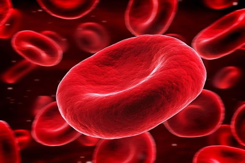 Bệnh án thiếu máu thiếu sắt là những biểu hiện và triệu chứng gì?